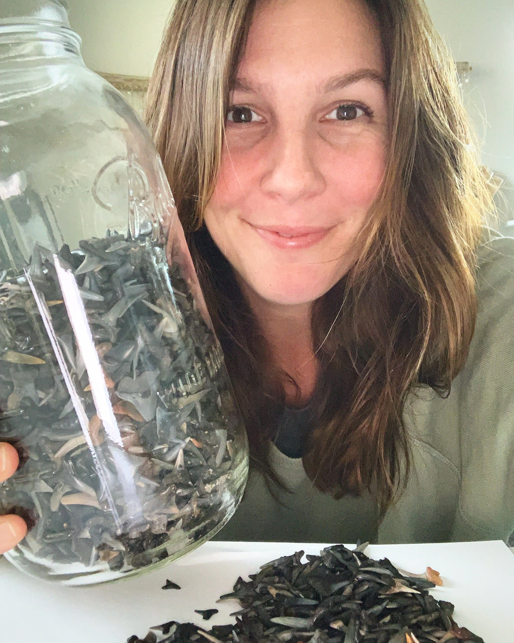 shark tooth searchin'