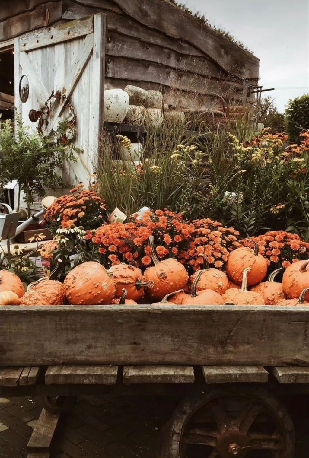 ESC Fall 2022 Collection