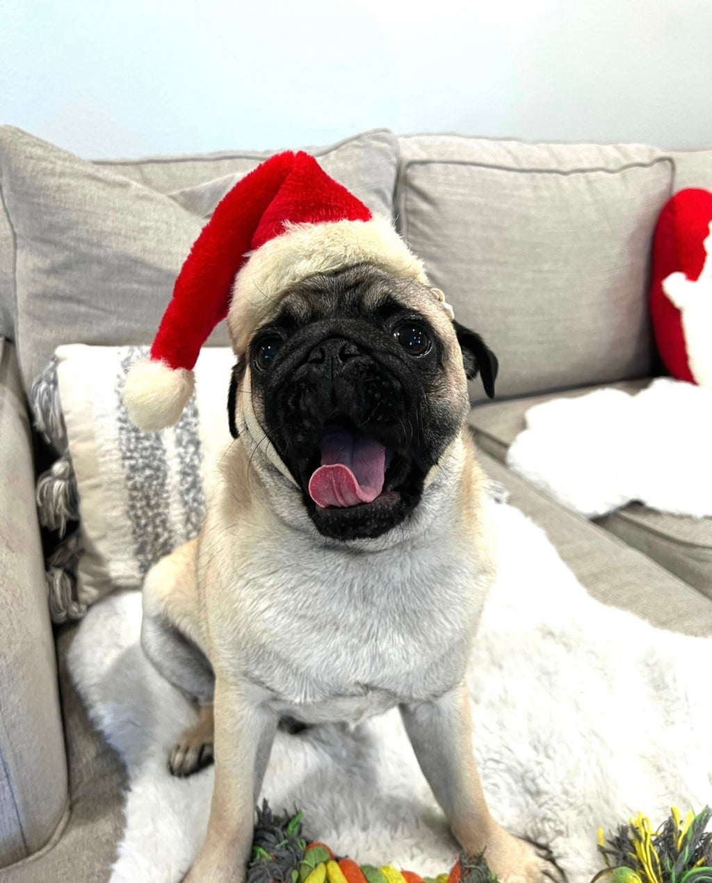 Elizabeth Sarah Collections Gallery Holiday Party!