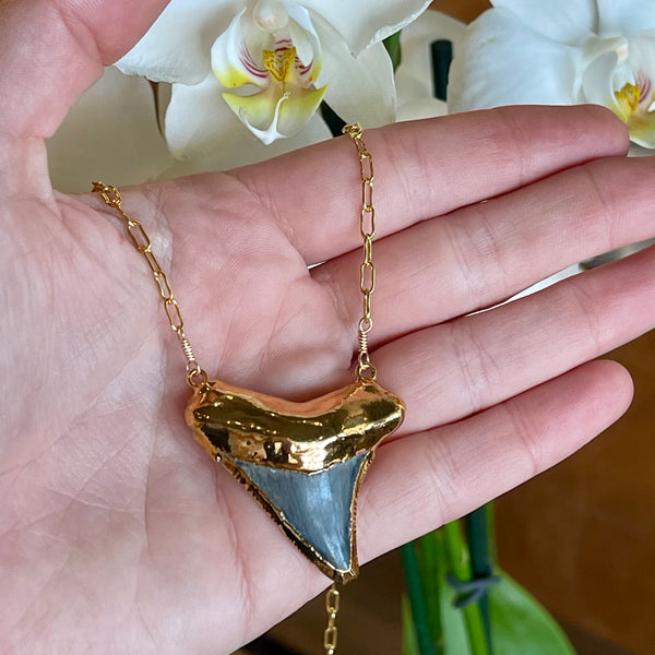 1652 - Shark Tooth Necklace – Elizabeth Sarah Collections