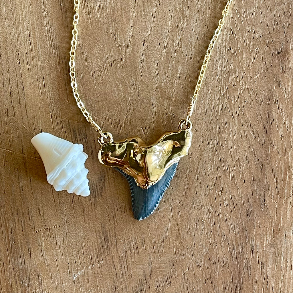1647 - Shark Tooth Necklace