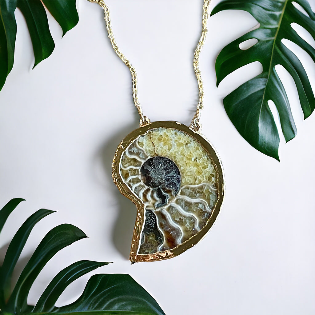 1662 Nautilus Shell Necklace – Elizabeth Sarah Collections