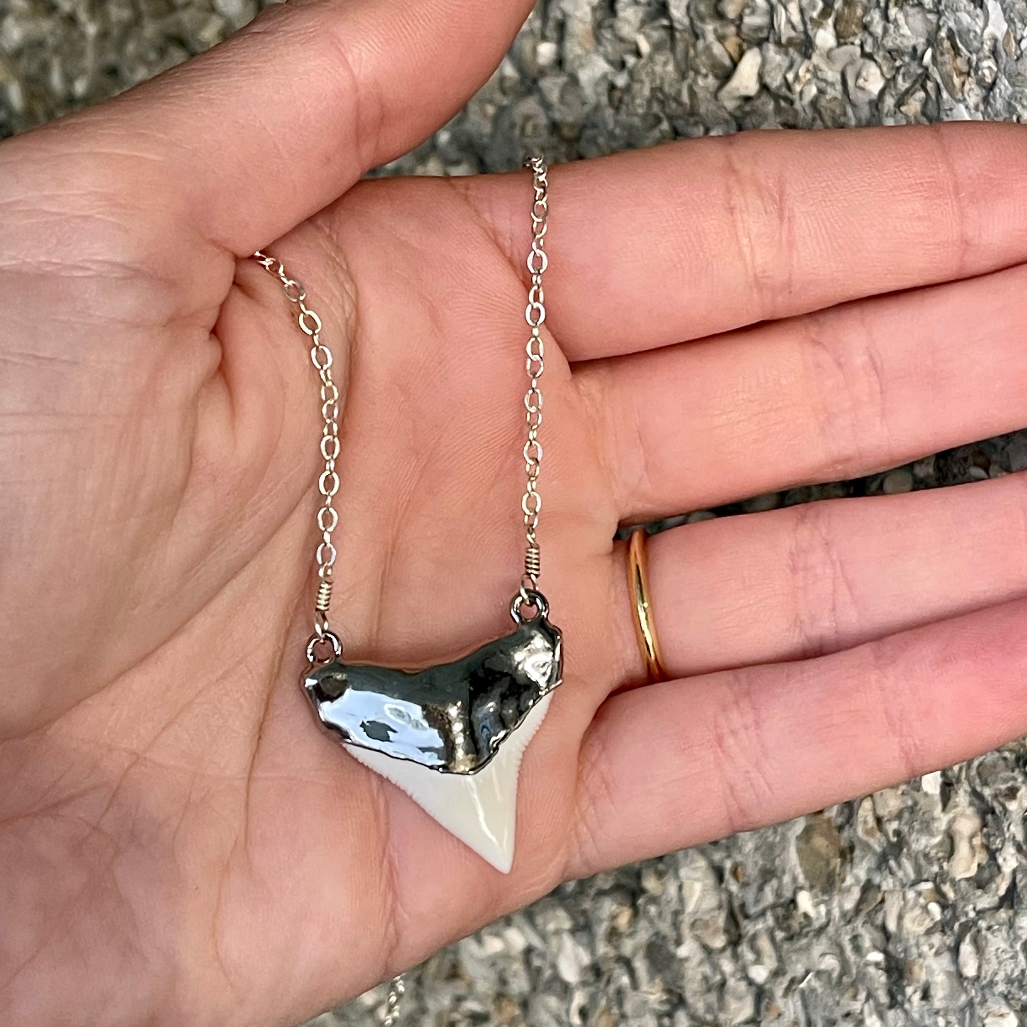 1449 - Shark Tooth Necklace