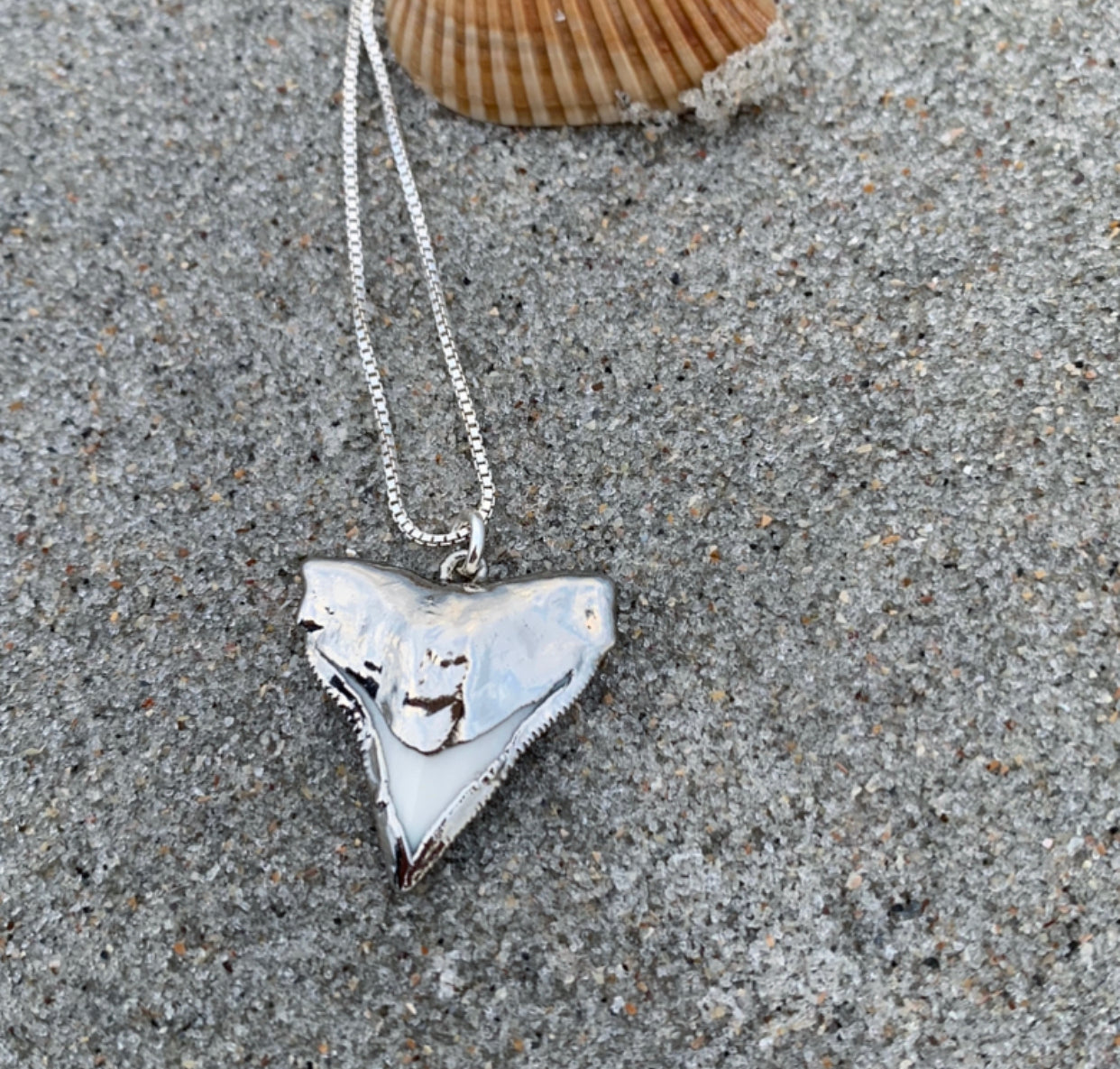 993- Shark Tooth Necklace