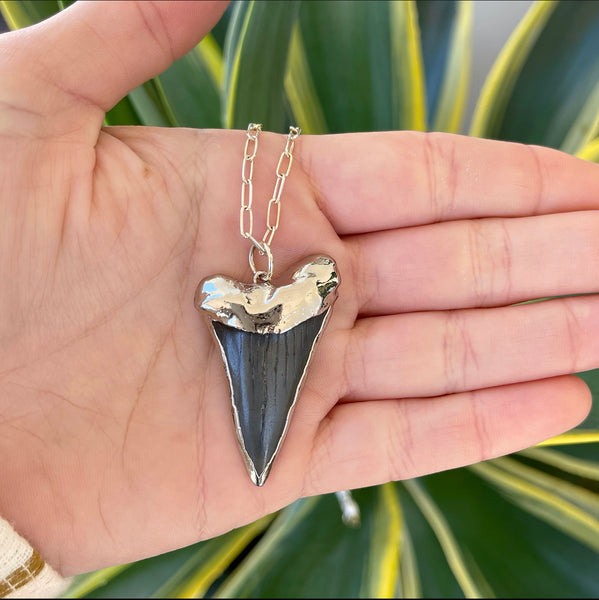 image_2e76b5ad-945b-49c9-96cb-