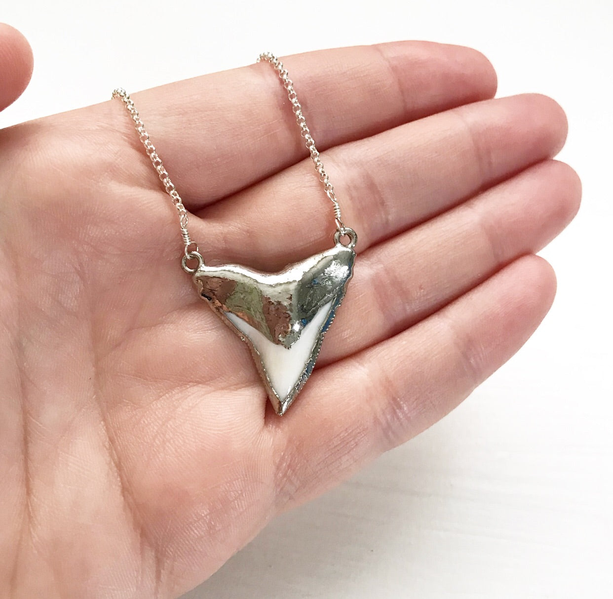 586-Shark Tooth Necklace
