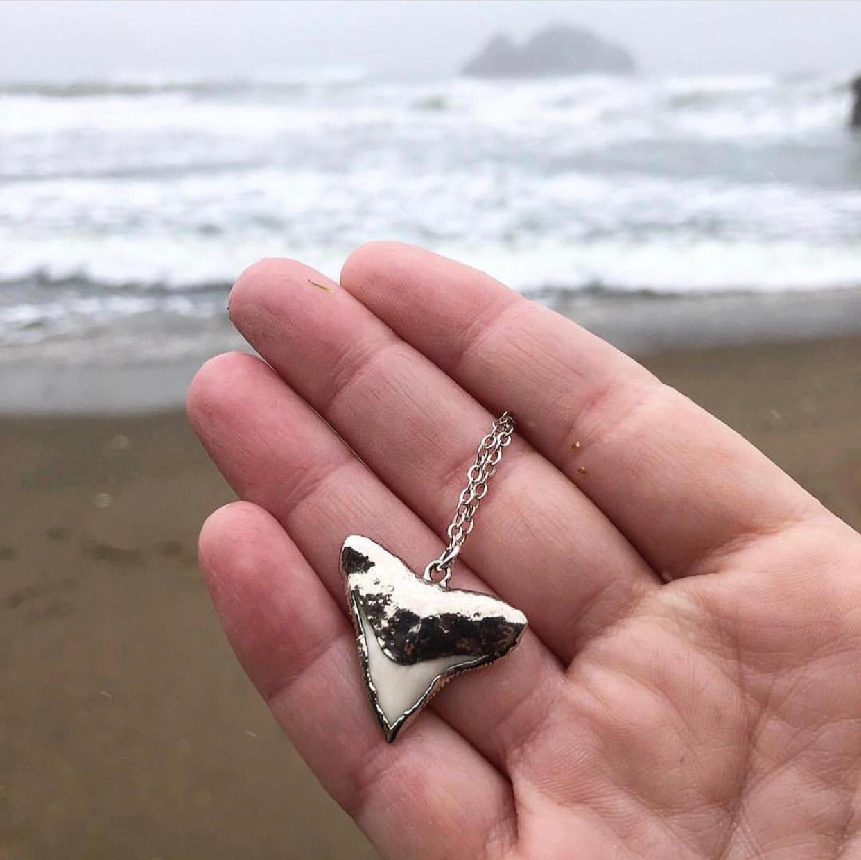 359-Shark Tooth Necklace