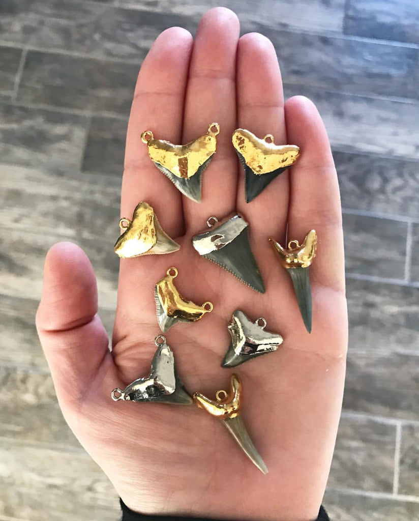 Shark 2025 tooth ring