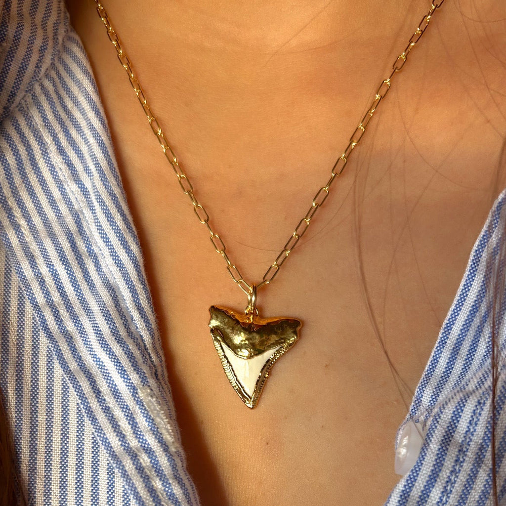 1812- Gold Paperclip Shark Tooth Necklace