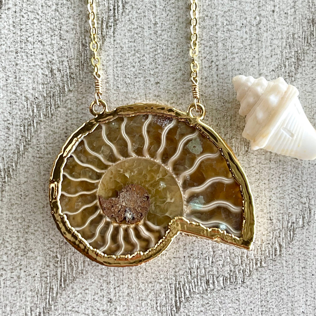 1569 - Nautilus Shell Necklace