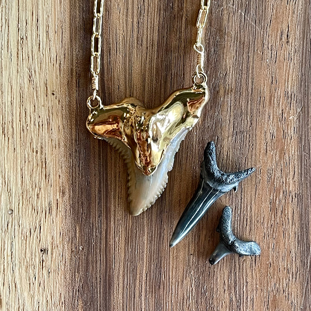 1653 - Shark Tooth Necklace
