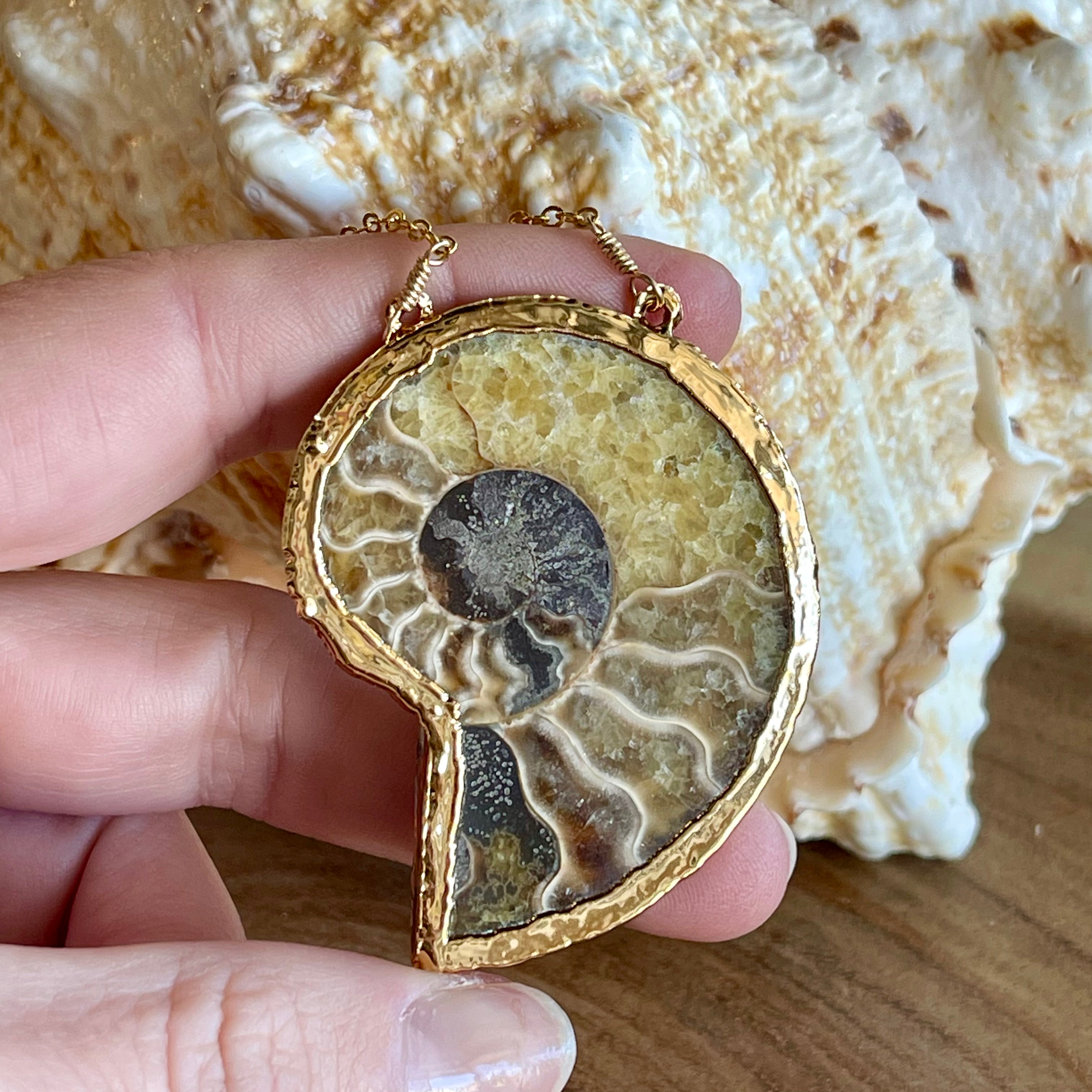 Natural Madagascar Sea Conch Fossil Pendant Necklace - Stone Generator, PU Chain