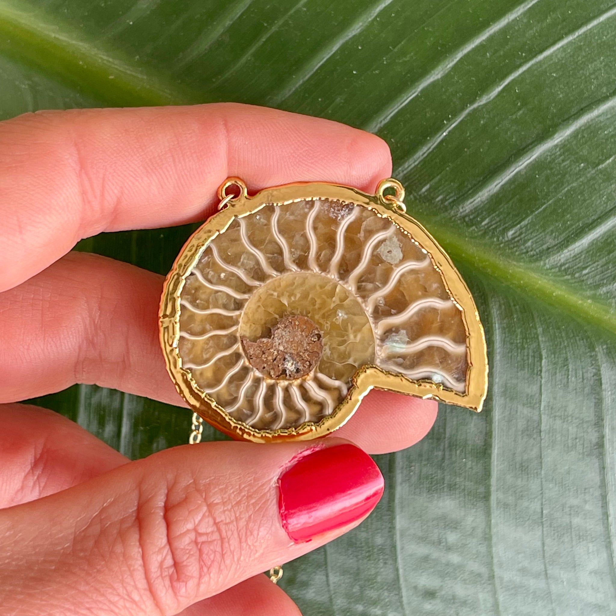 1569 - Nautilus Shell Necklace