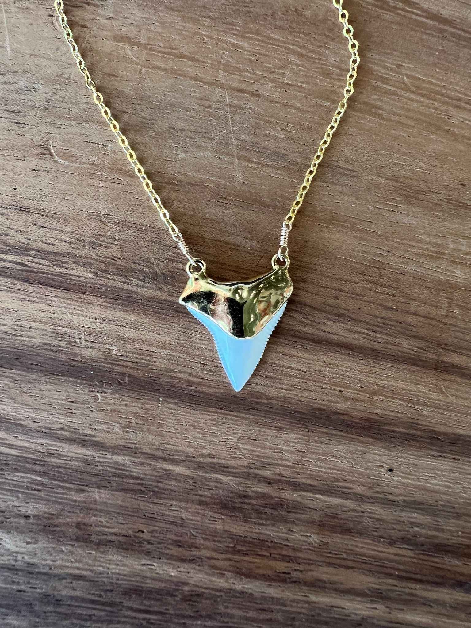 1848- Double Bail Shark Tooth w/no edge