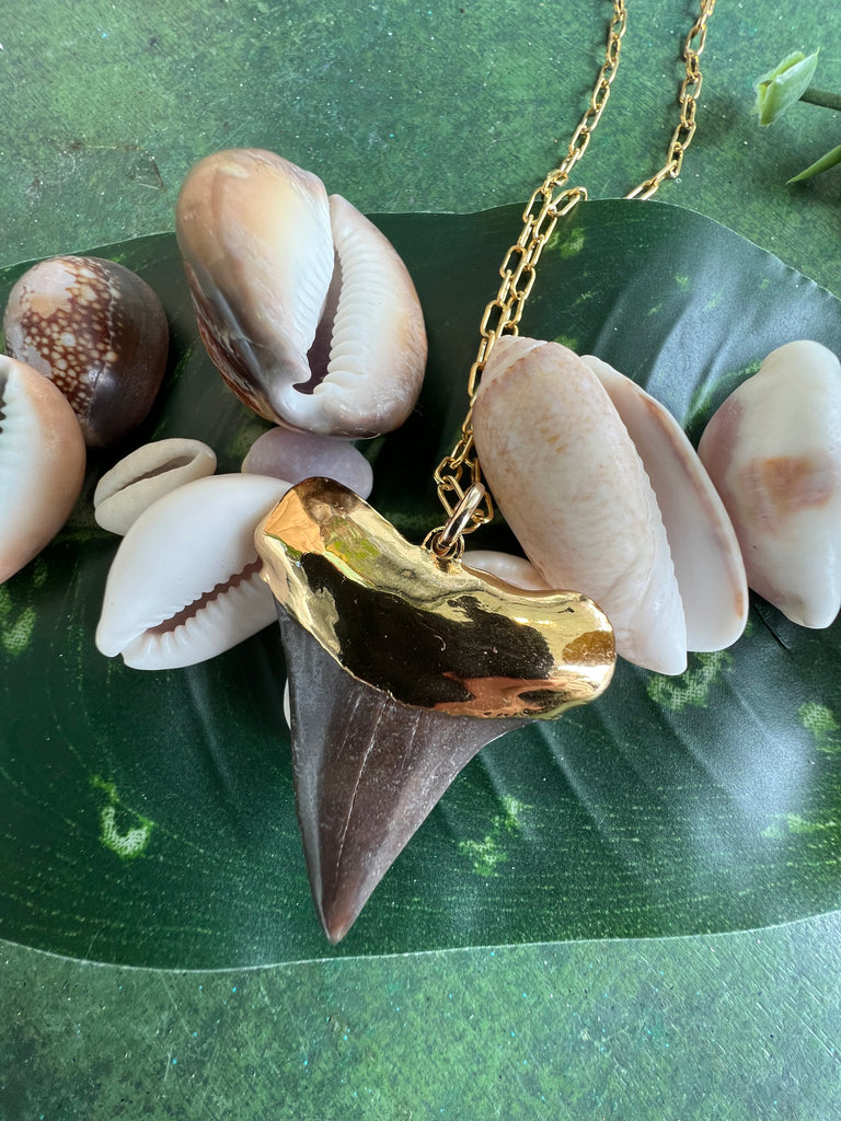1575- Shark Tooth Necklace