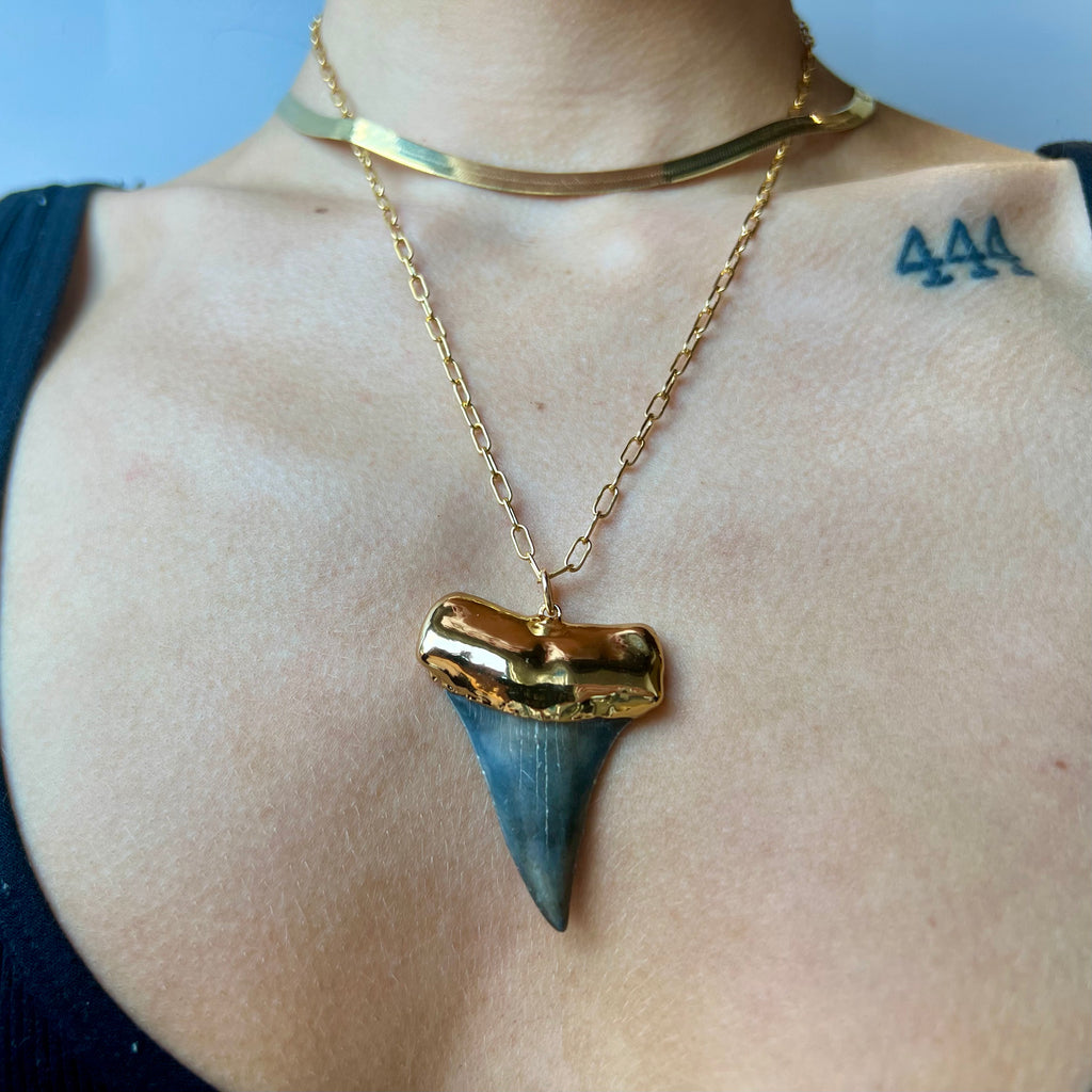 1573- Shark Tooth Necklace