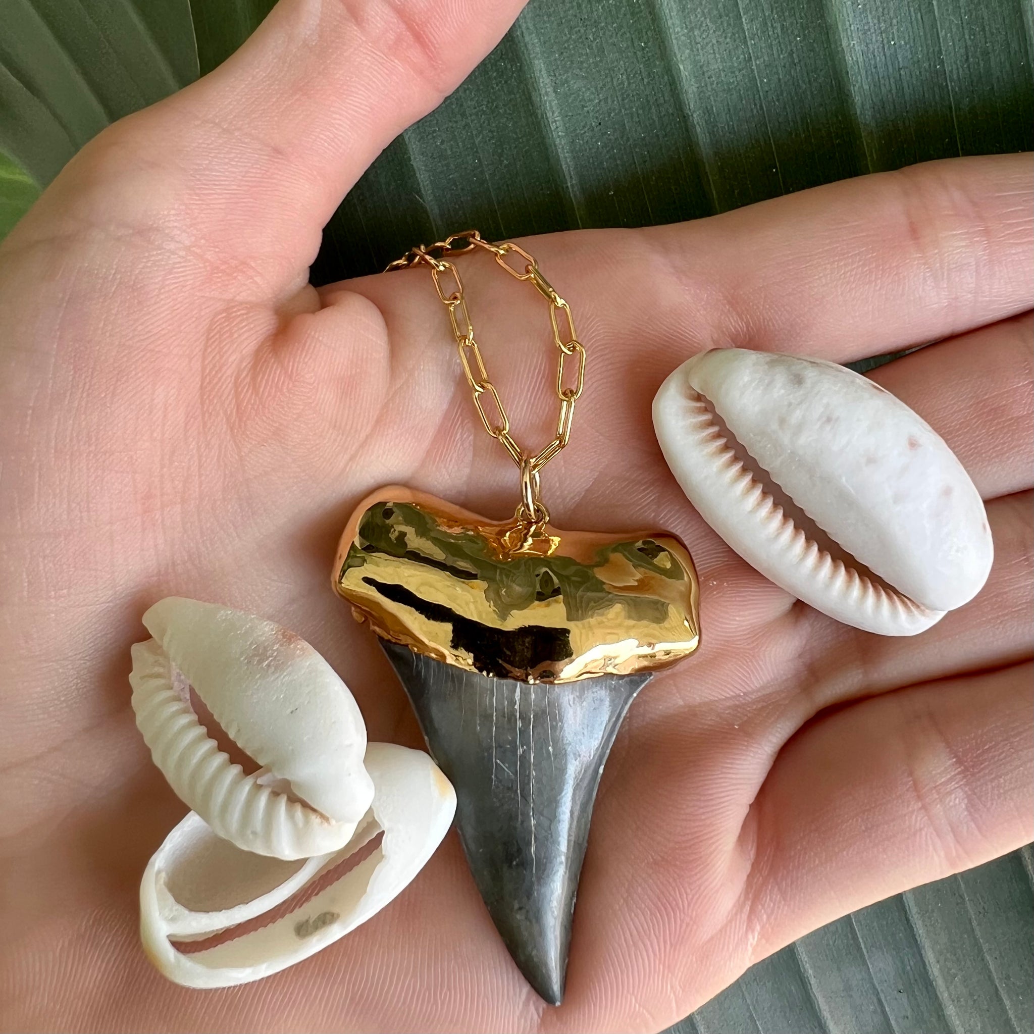 1573- Shark Tooth Necklace