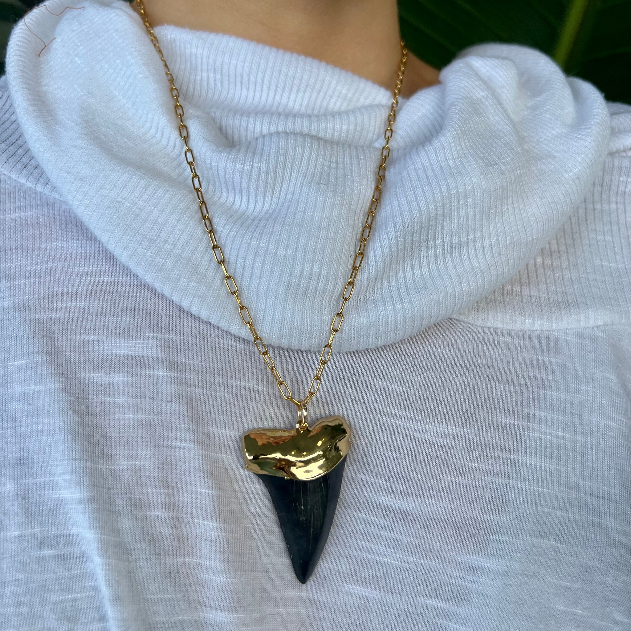 1577- Shark Tooth Necklace