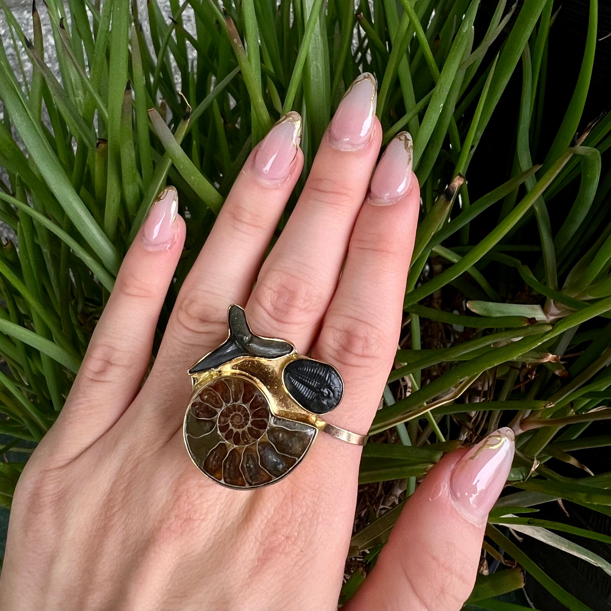1548 - Fossil Ring