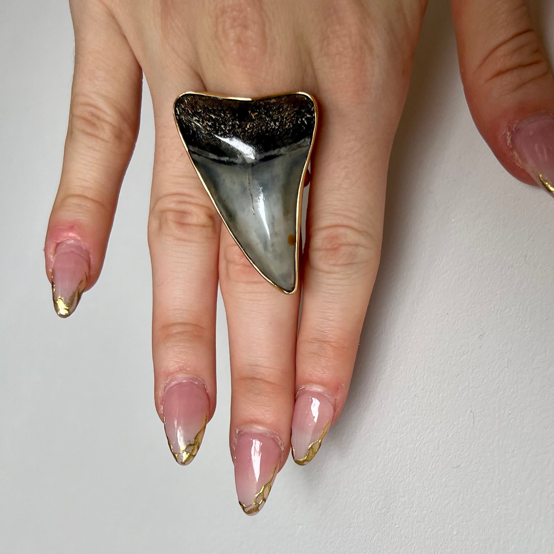 1549 - Shark Tooth Ring