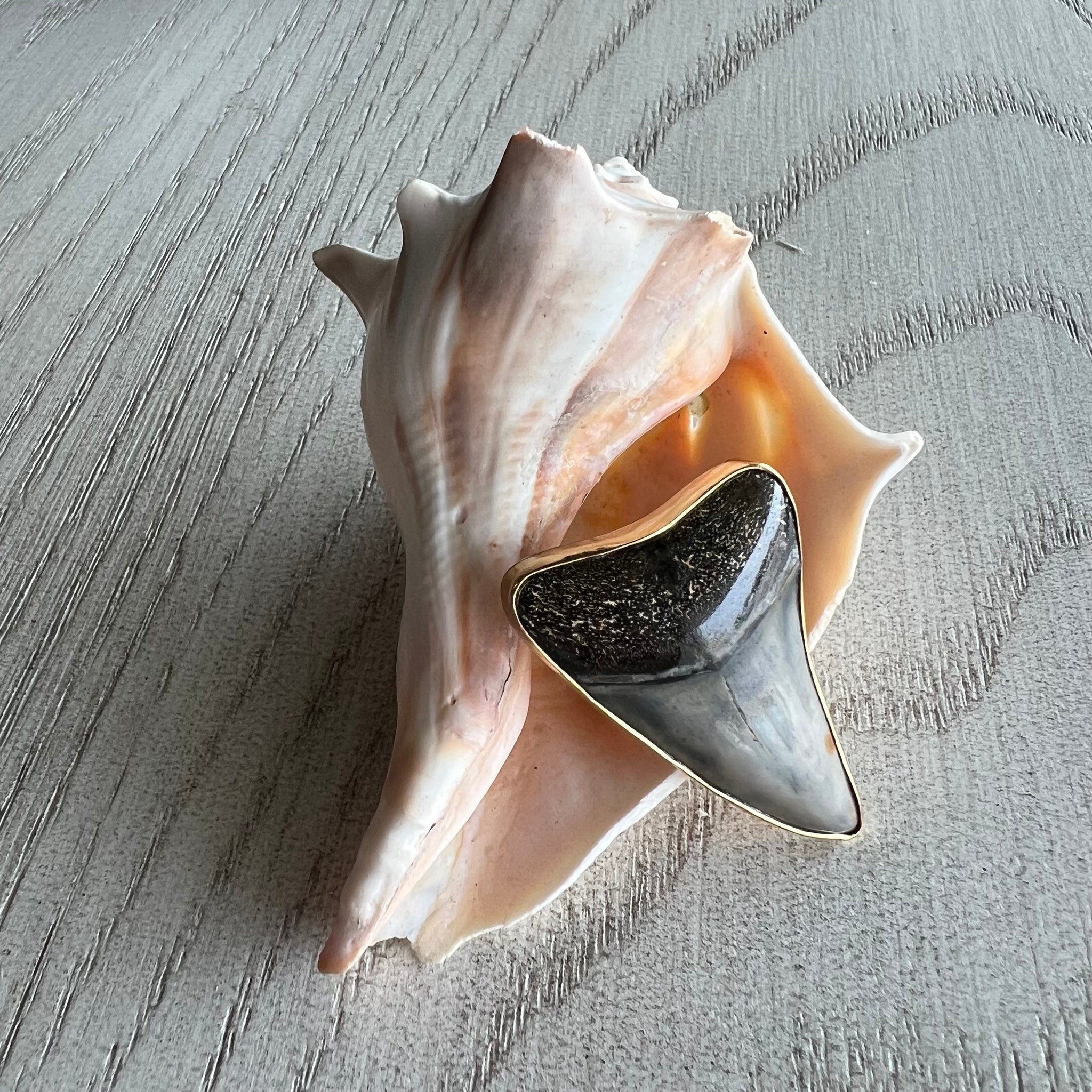 1549 - Shark Tooth Ring