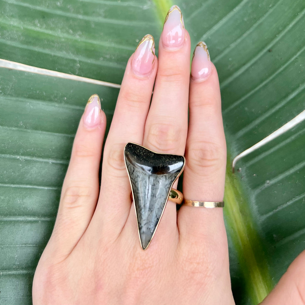 1551 - Shark Tooth Ring