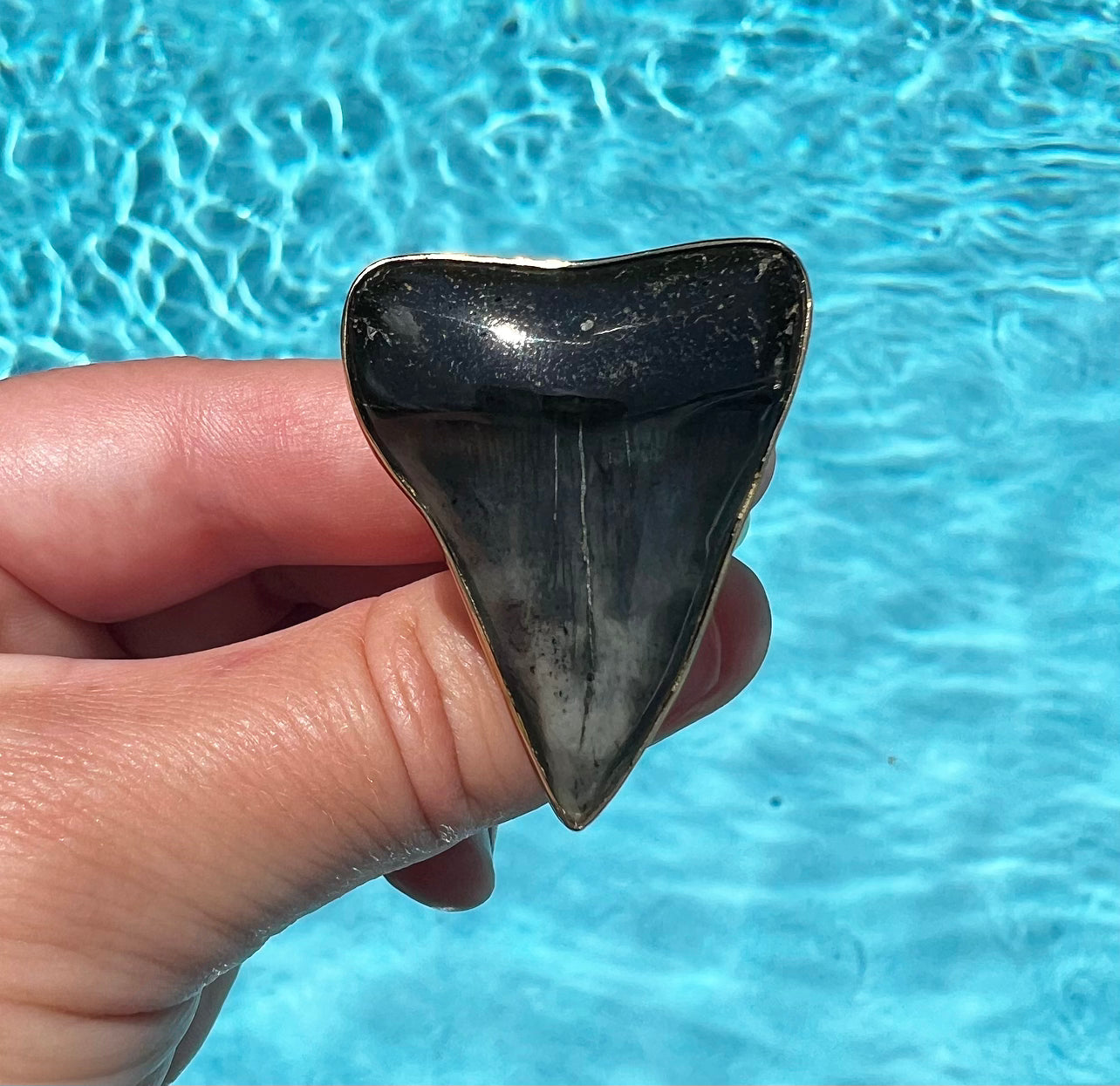 1541 - Shark Tooth Ring