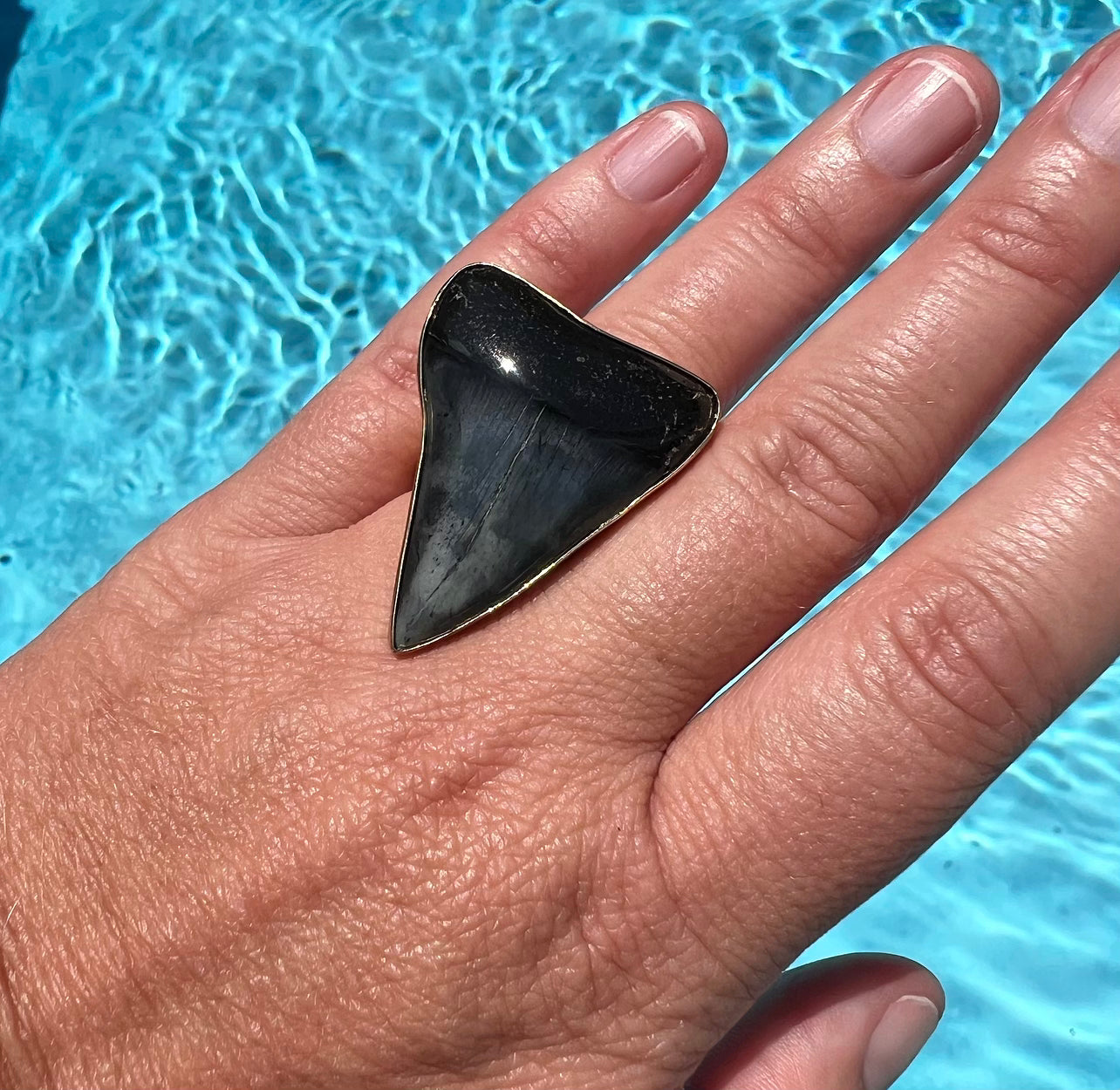1541 - Shark Tooth Ring