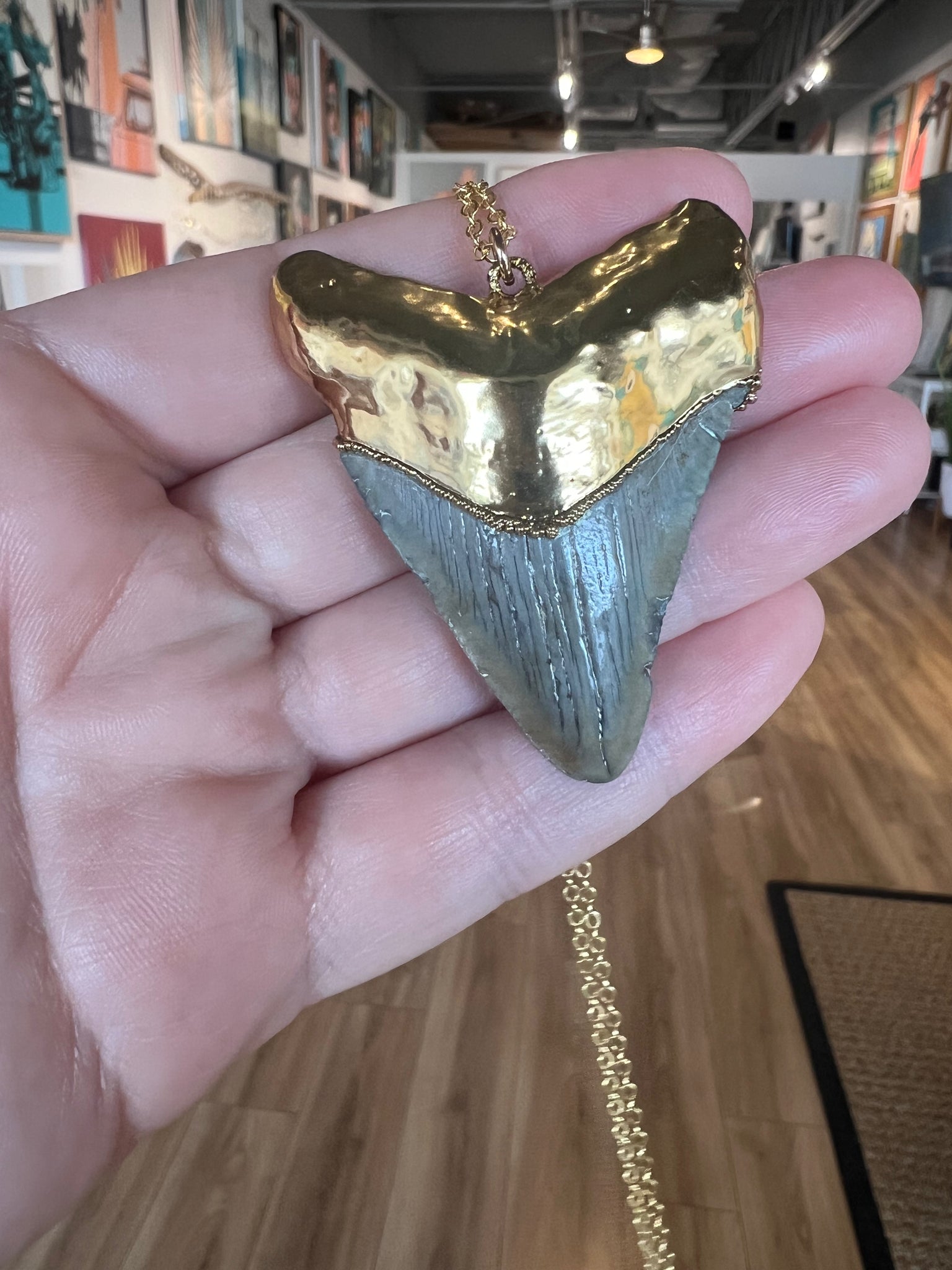 1871-Large Shark Tooth Necklace