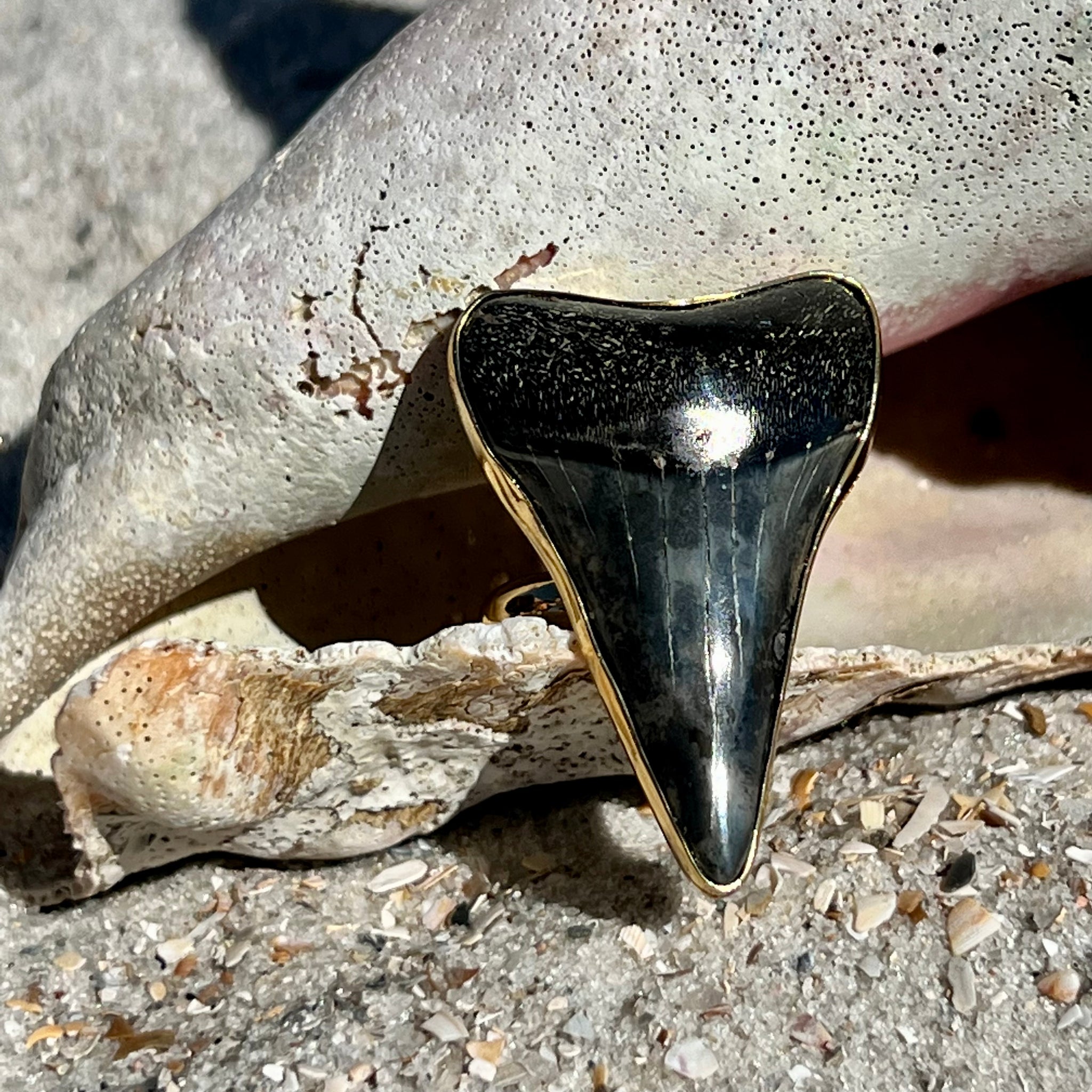 1684 - Shark Tooth Ring