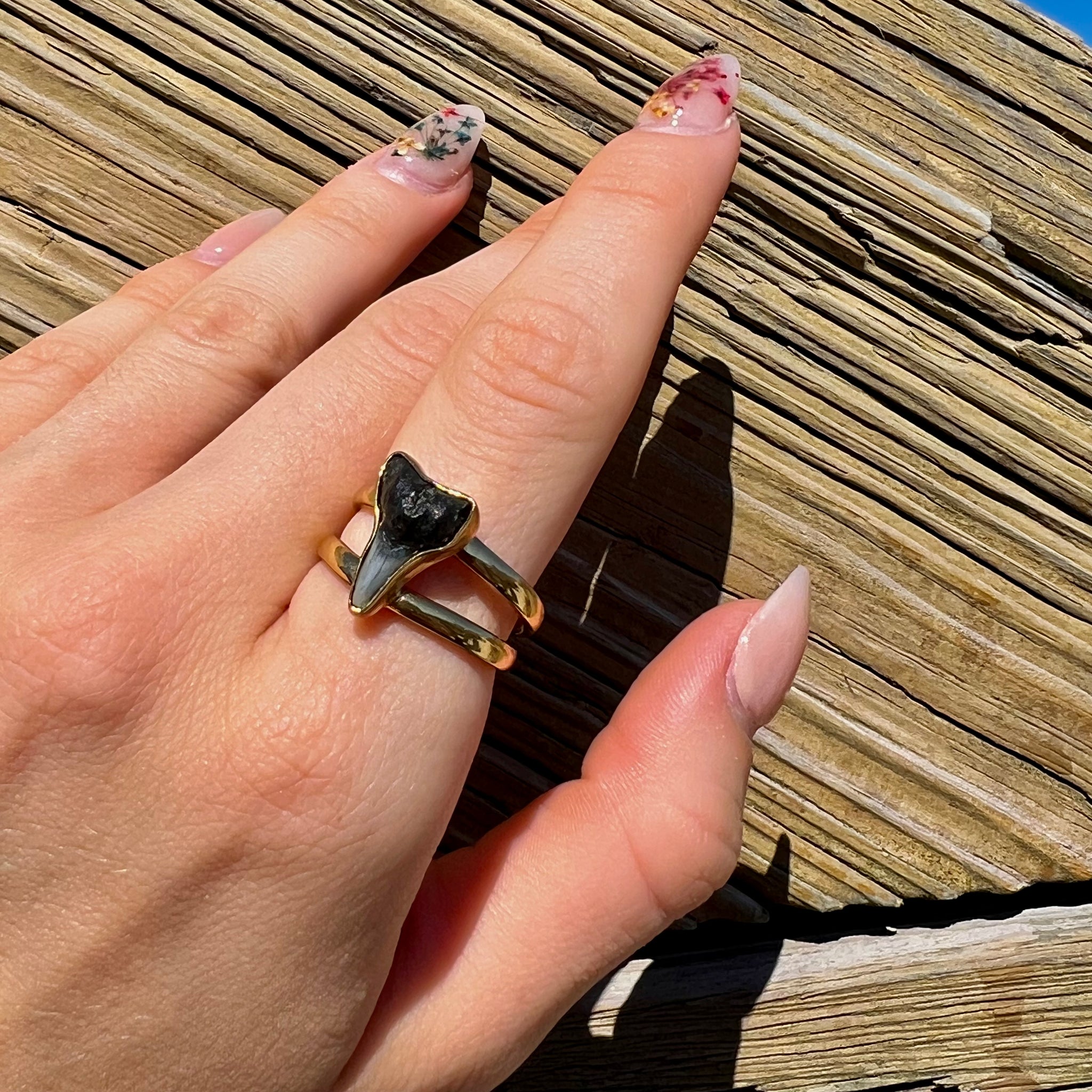 1687 - Shark Tooth Ring