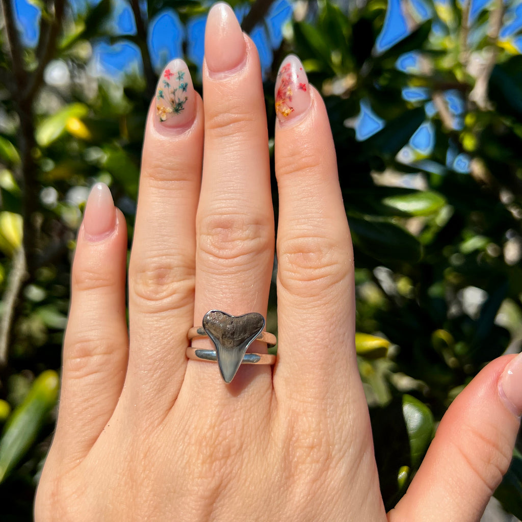 1690 - Shark Tooth Ring