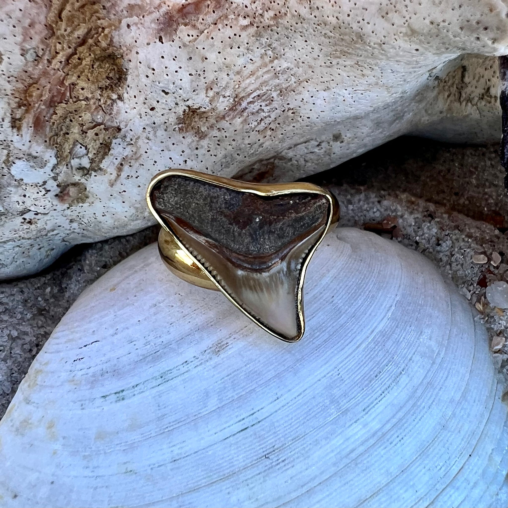 1688 - Shark Tooth Ring