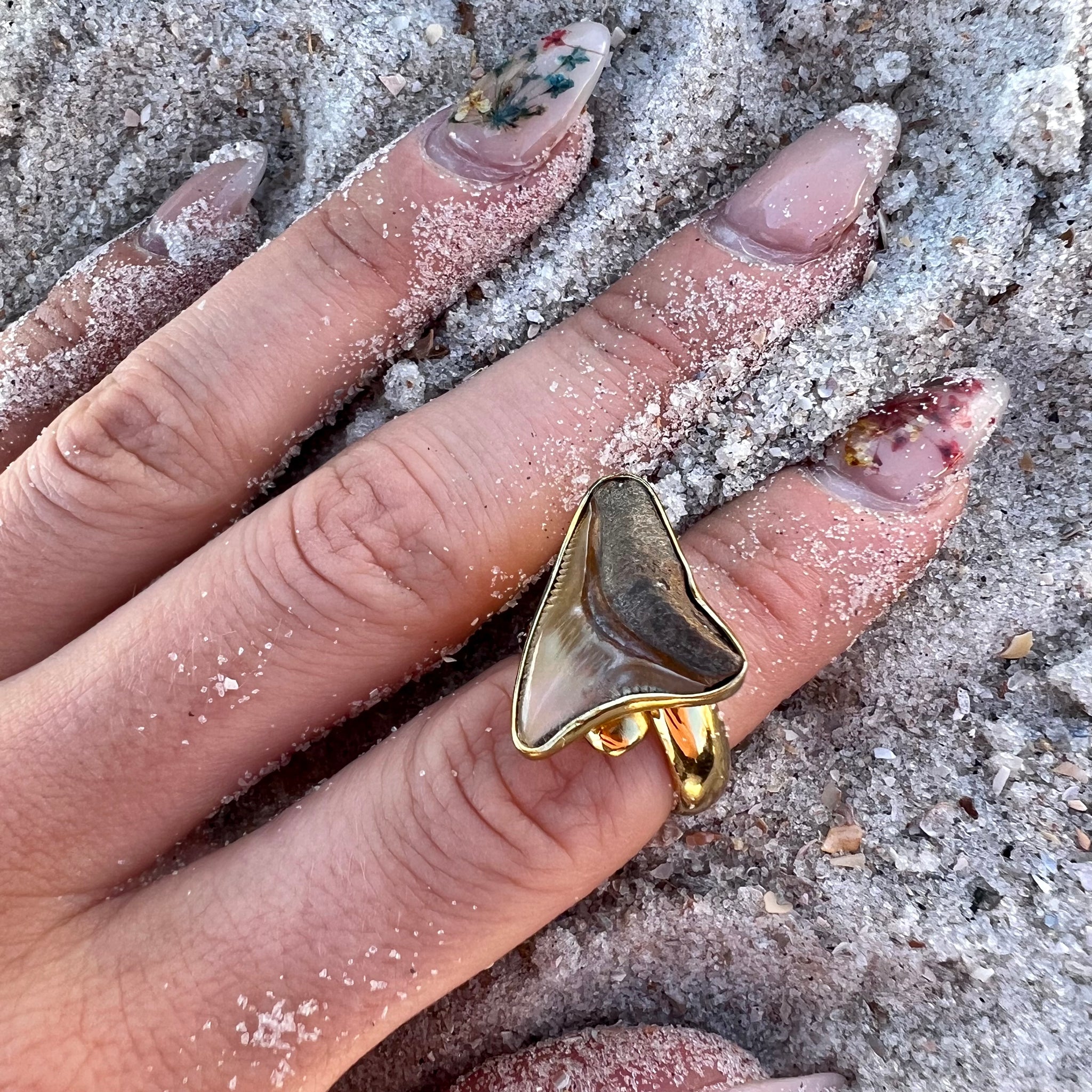 1688 - Shark Tooth Ring