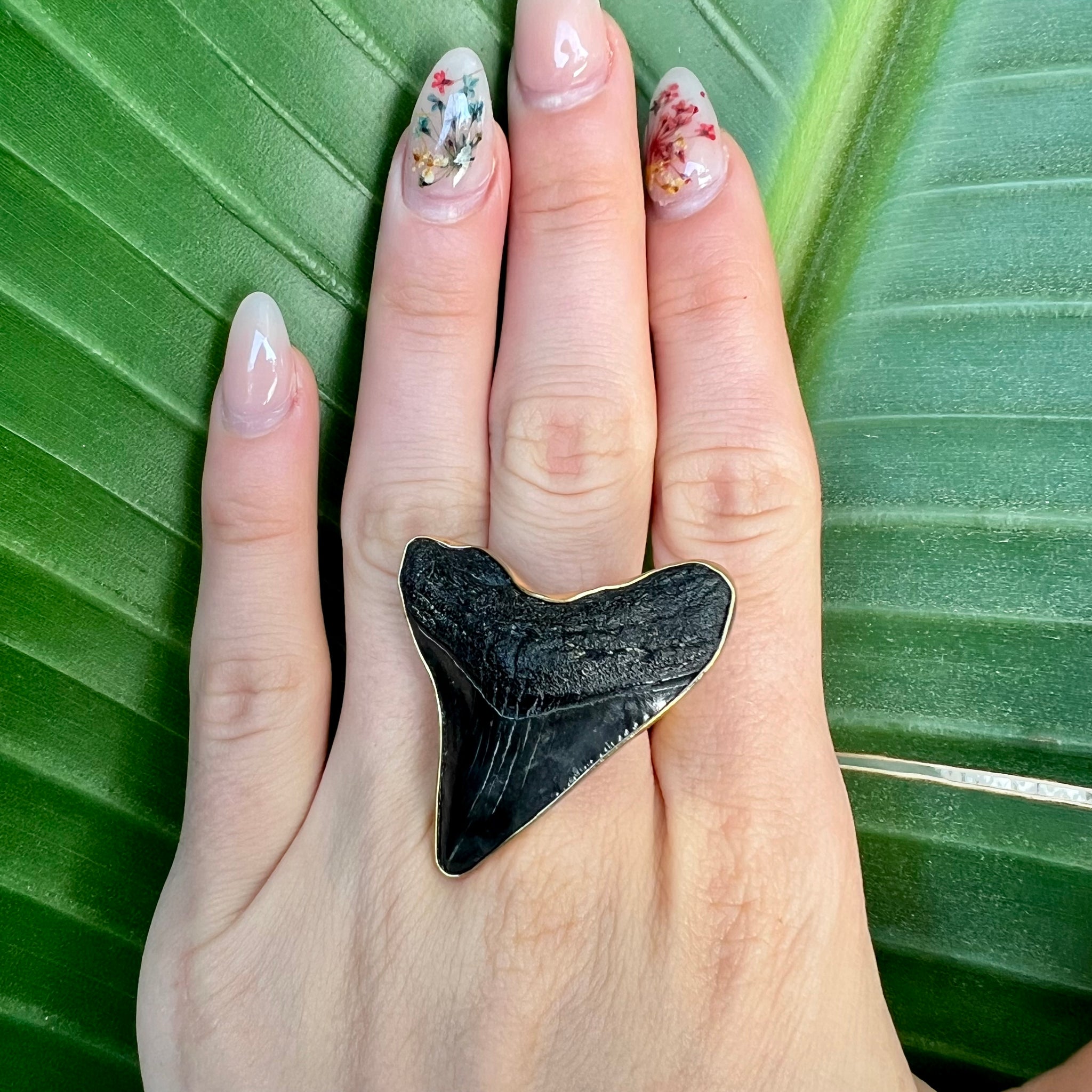 1685 - Shark Tooth Ring