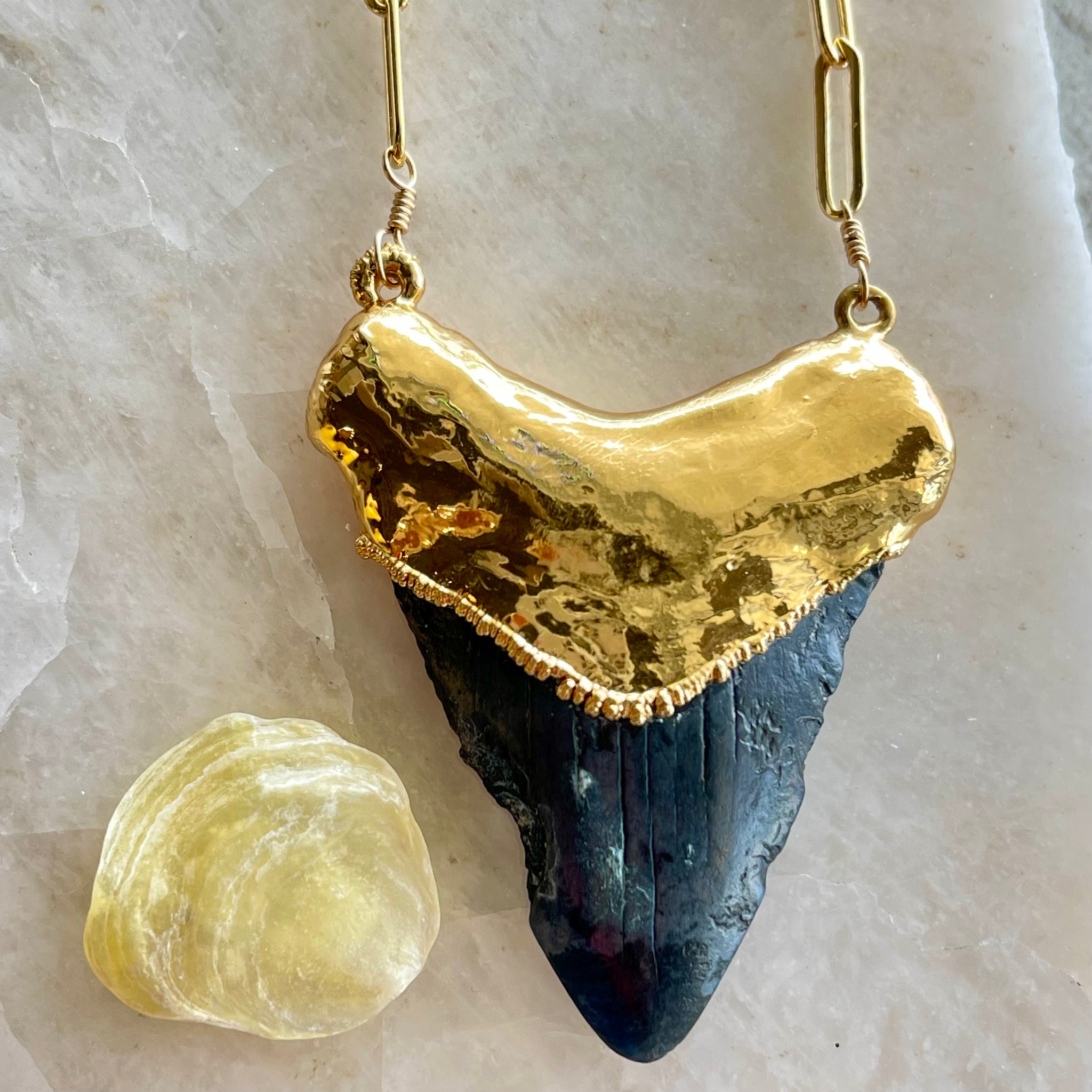 1561 - Shark Tooth Necklace