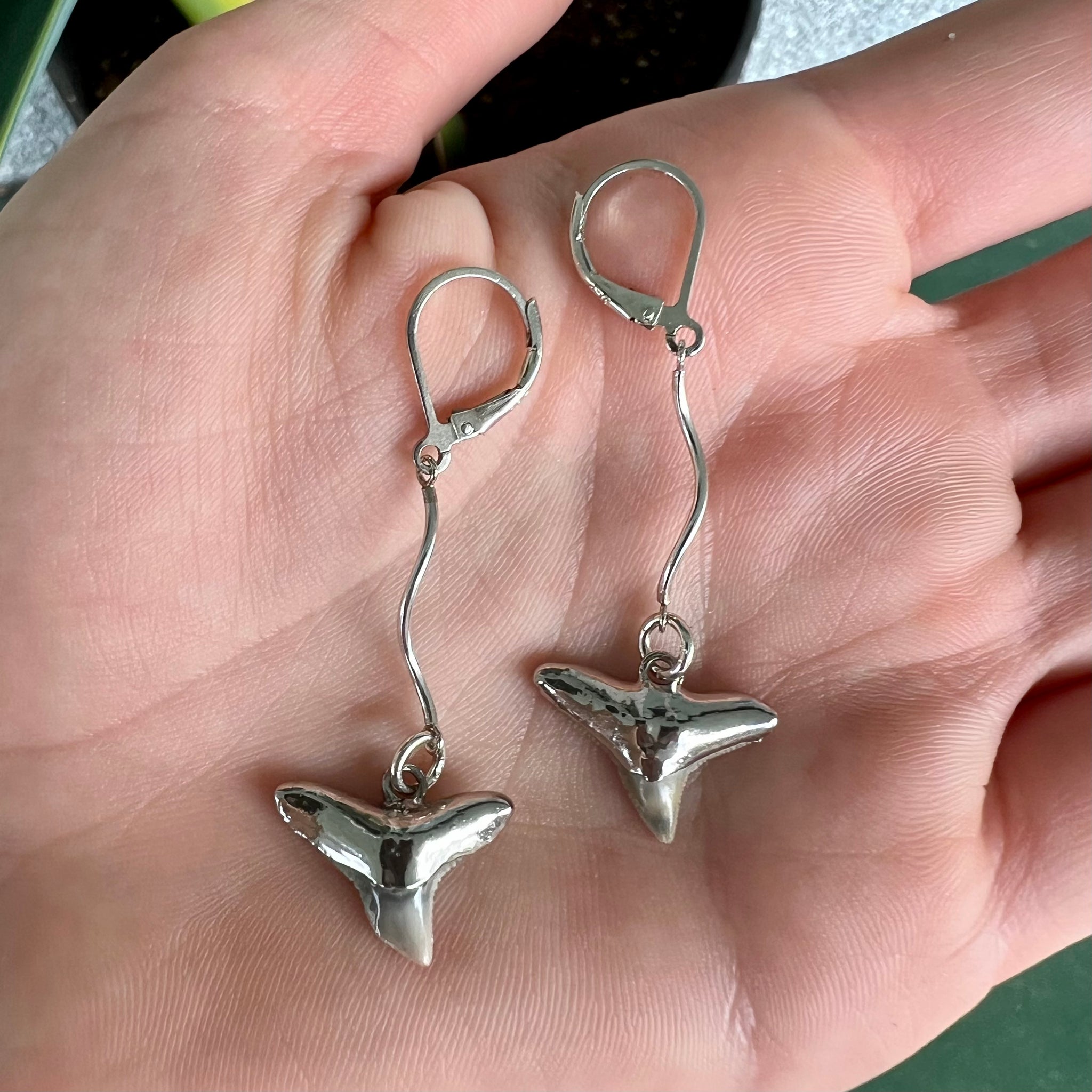 1411 - Shark Tooth Earrings