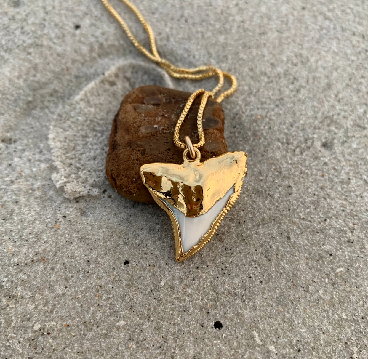 992 - Shark Tooth Necklace