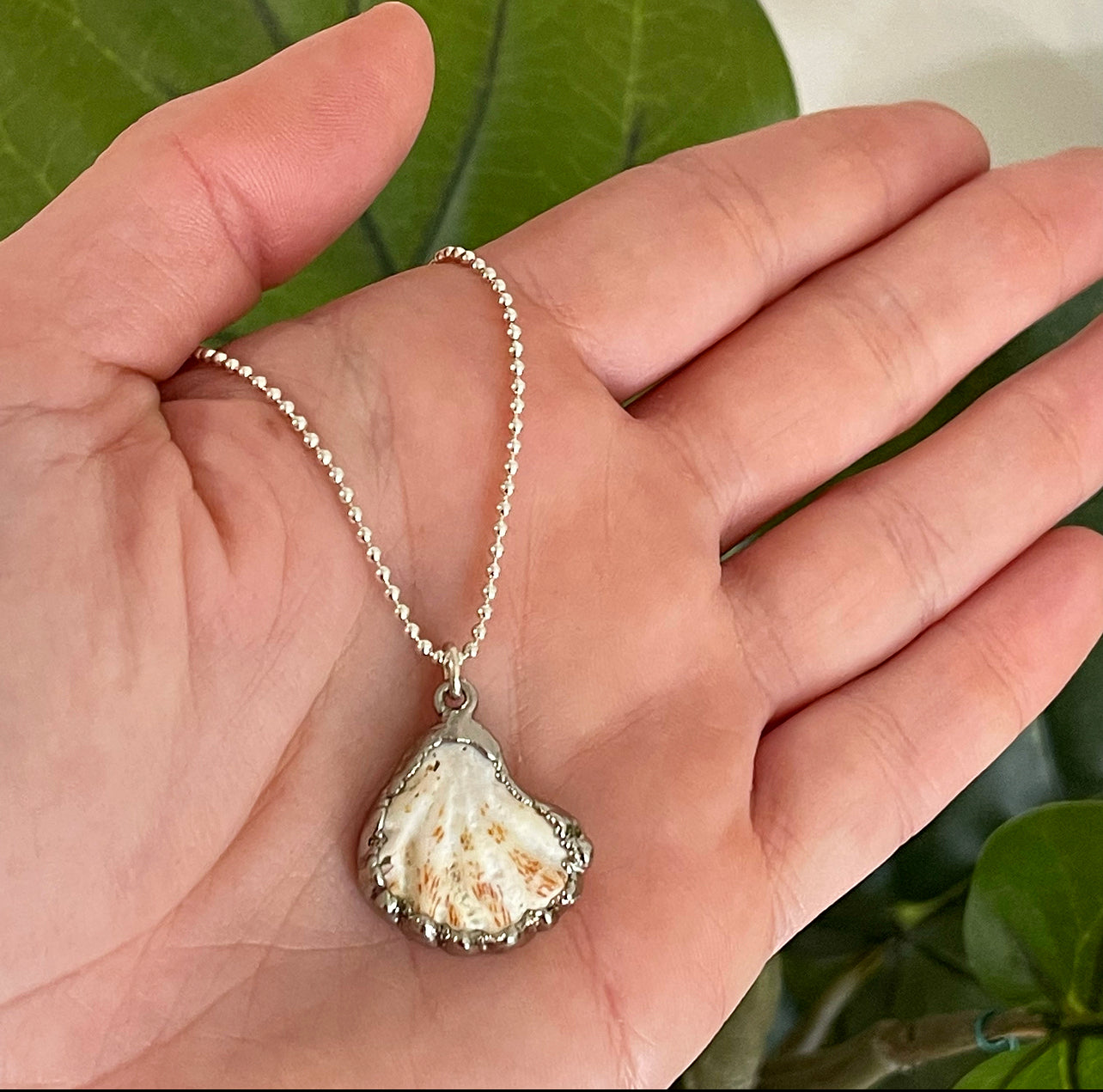 973-Cats Paw Shell Necklace
