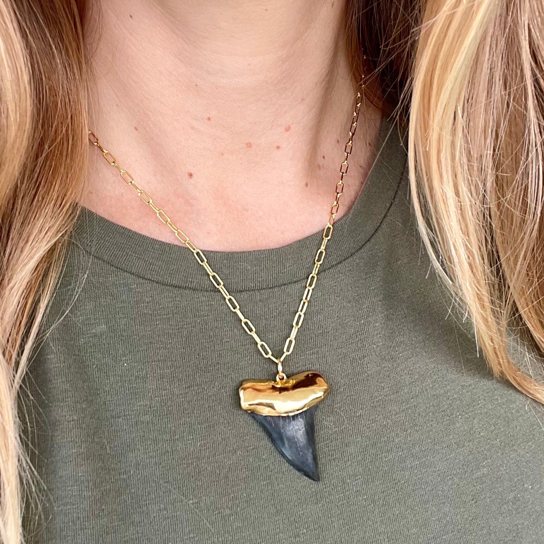 1396 Shark Tooth Necklace Elizabeth Sarah Collections