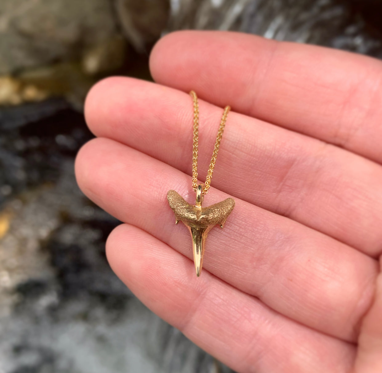 1285 - Solid Gold Petite Shark Tooth Necklace