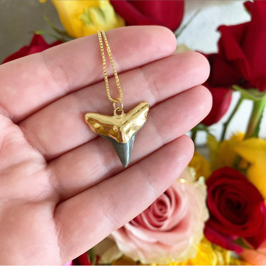 1843-Shark Tooth Necklace