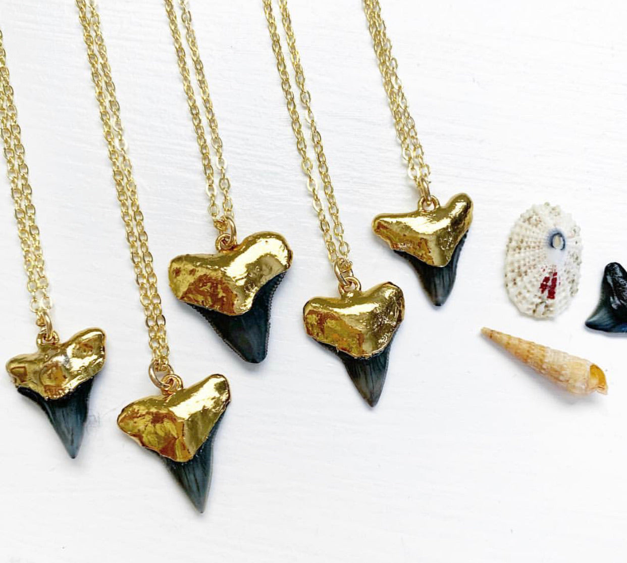 512-Shark Tooth Necklace