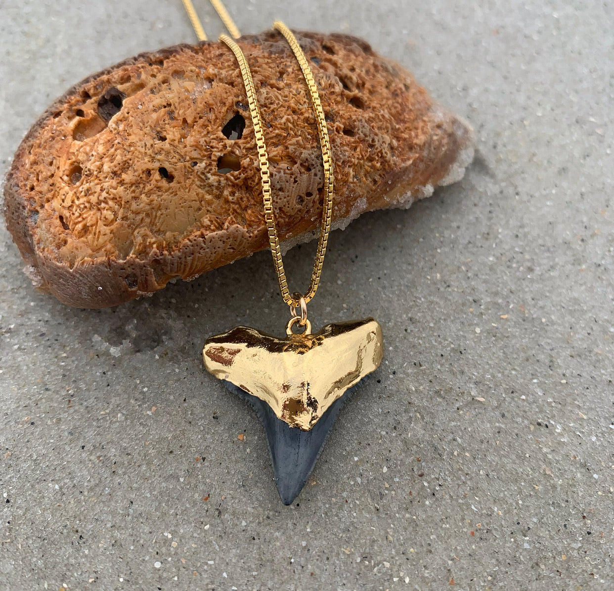 970-Shark Tooth Necklace