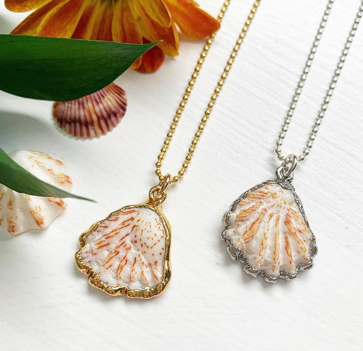 973-Cats Paw Shell Necklace